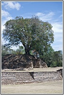 Iximch