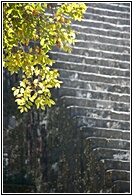 GUA_0511