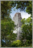 GUA_0516