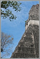 Templo de Tikal