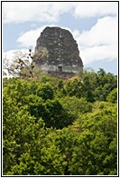 Tikal