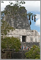 Templo II