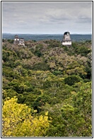 Tikal