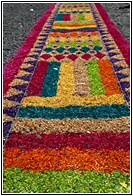 Alfombra