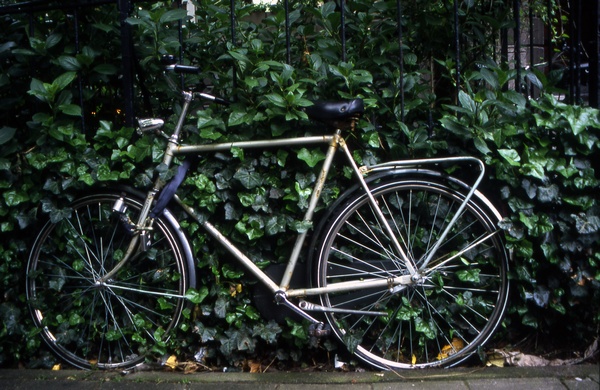 Bike at Green