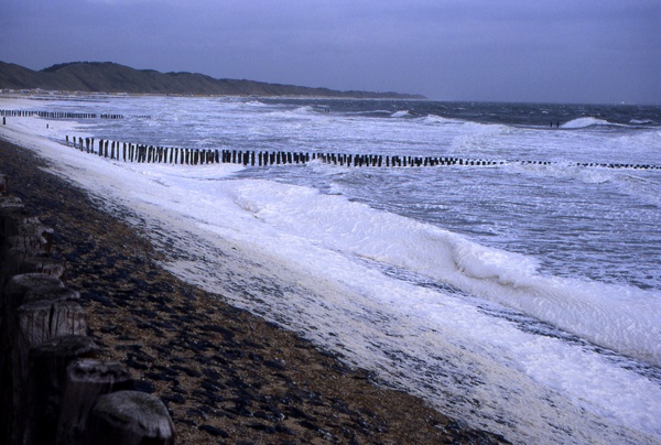 Stormy Beach