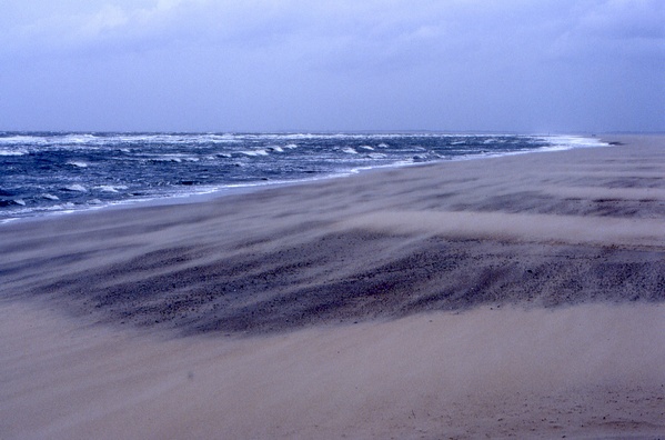 Stormy Beach