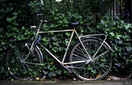 Bike at Green