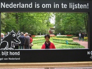 Keukenhof