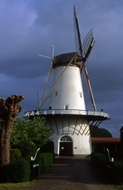 Wind Mill