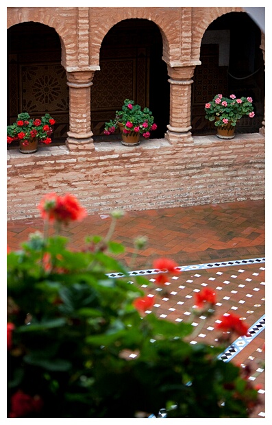 Florido Patio