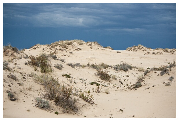 Dunas de Doana
