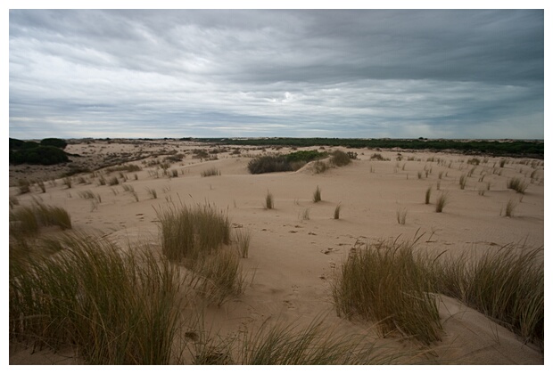 Dunas de Doana