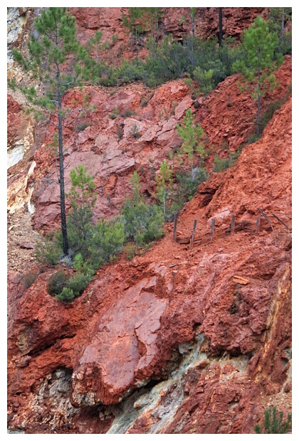Tierras Rojas