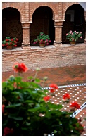 Florido Patio