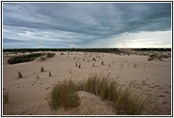 Dunas 