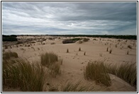 Dunas de Doana