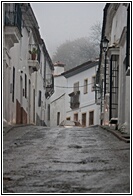 Castao del Robledo