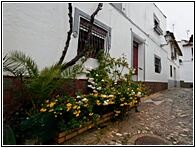 Flores a la Puerta