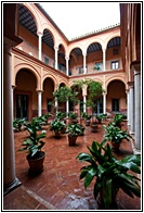 Patio Andaluz
