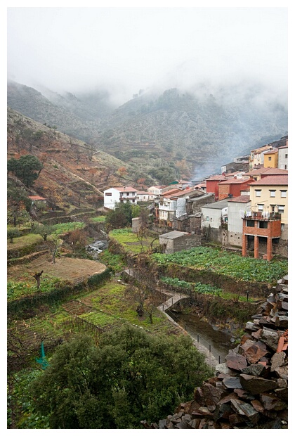 Terrazas Cultivadas