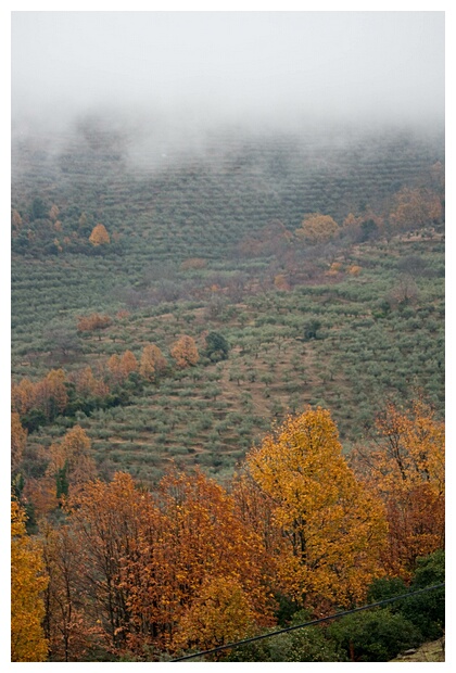 Paisaje Hurdano