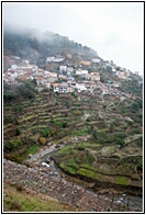 Martilandrn