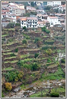 Laderas Escalonadas