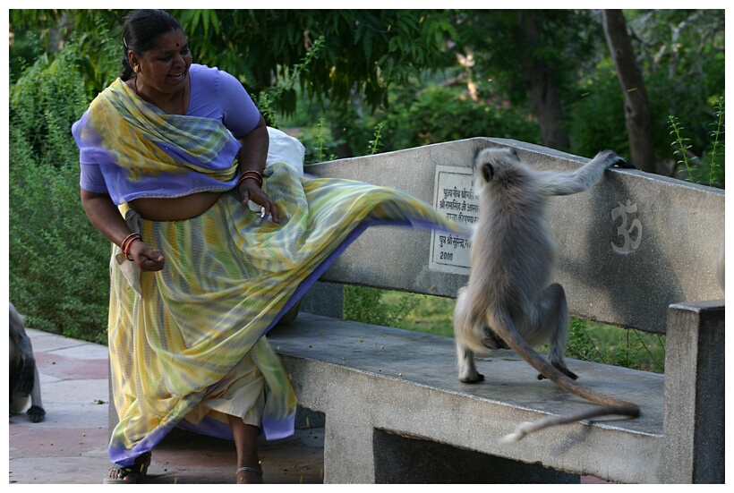 Aggressive Monkey 