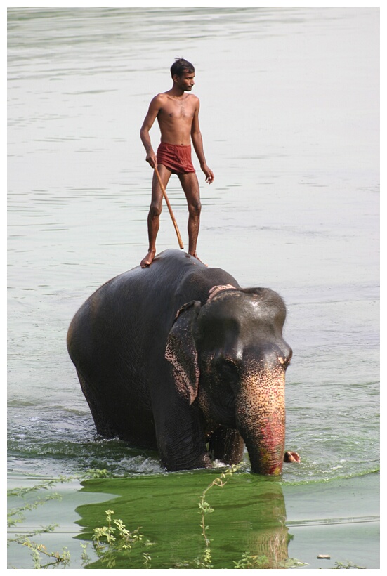 Taking bath