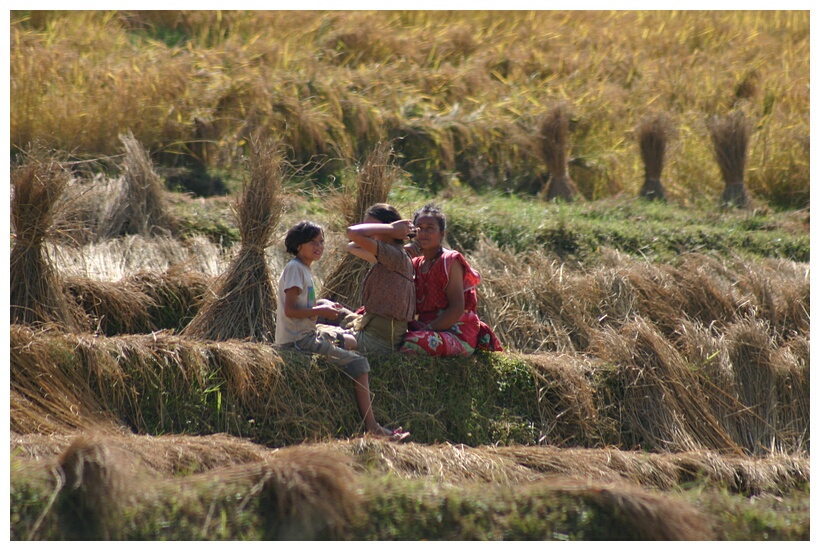 Resting in the field