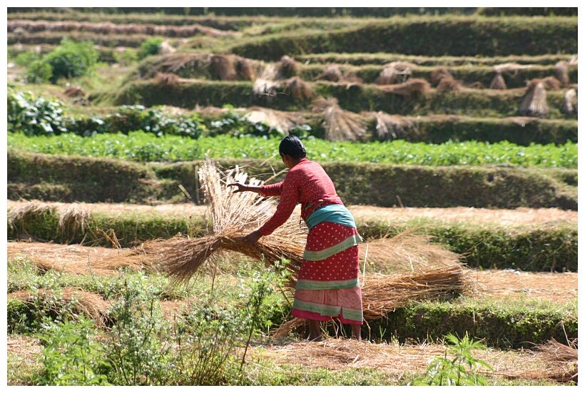 Woman at work