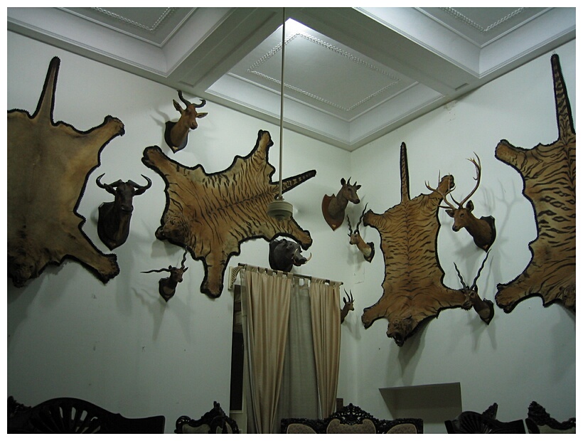 Trophy room