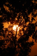 Jodhpur sunset
