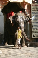 Udaipur street