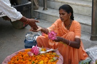 Calendulas seller