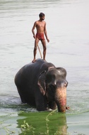 Taking bath