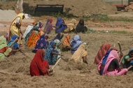 Woman Working