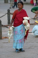 Woman with Chickens