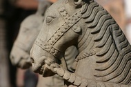 Stoned Horses