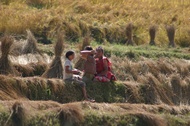 Resting in the field