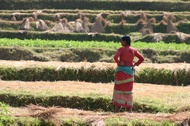 Nepali Woman