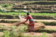 Woman at work