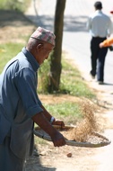 Filtering the rice
