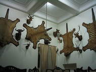 Trophy room