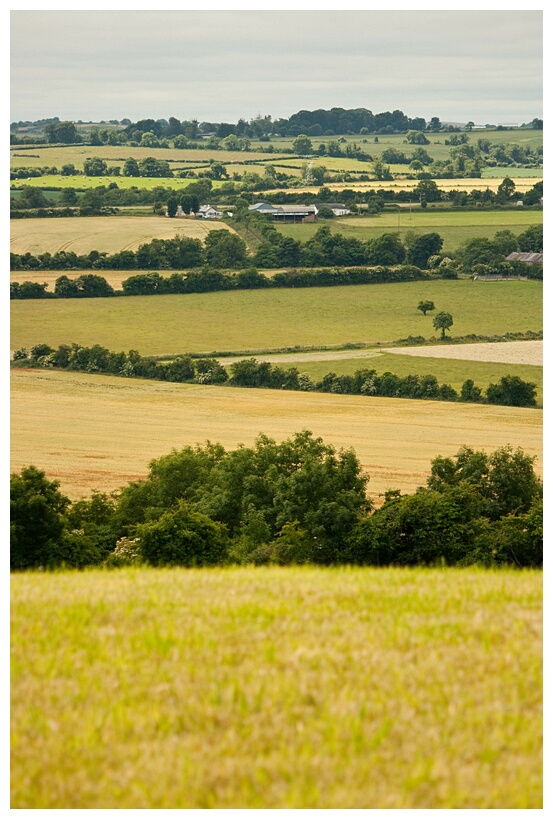 Fertile Earth