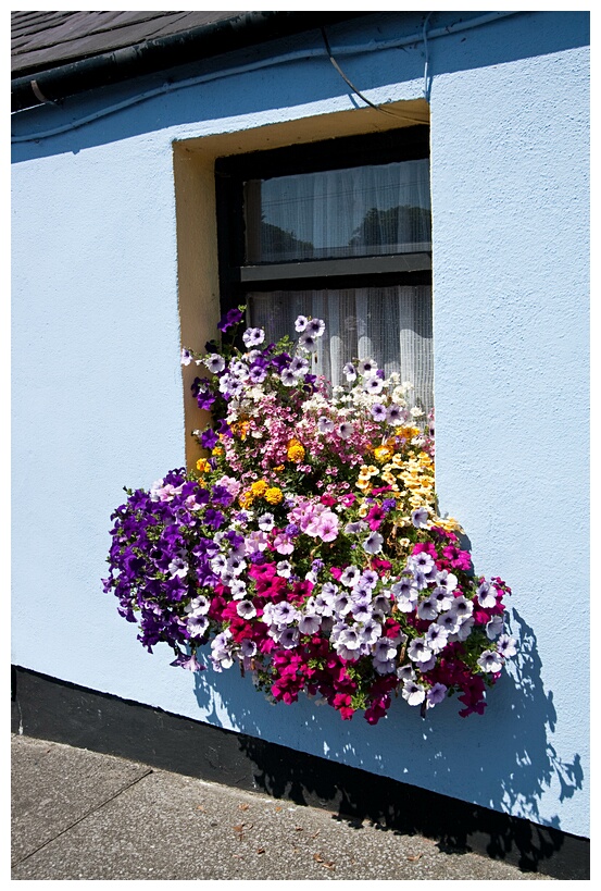Flowrished Window
