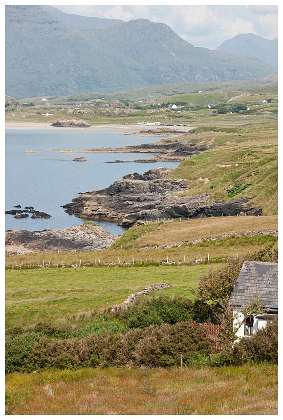 Rugged Coast