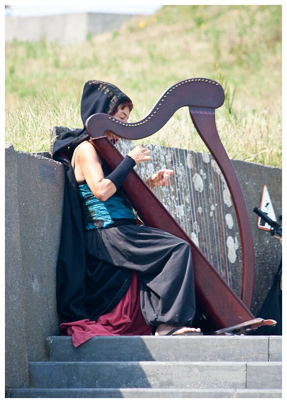 Harpist