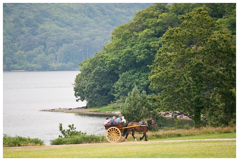 Jaunting Car